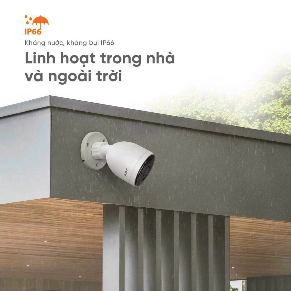Camera IQ3