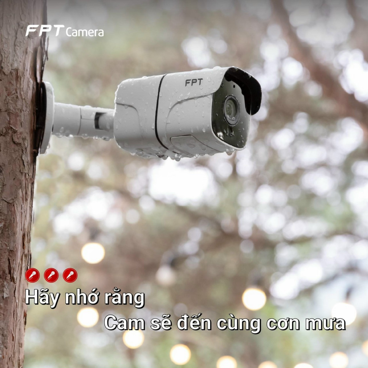Camera IQ2s