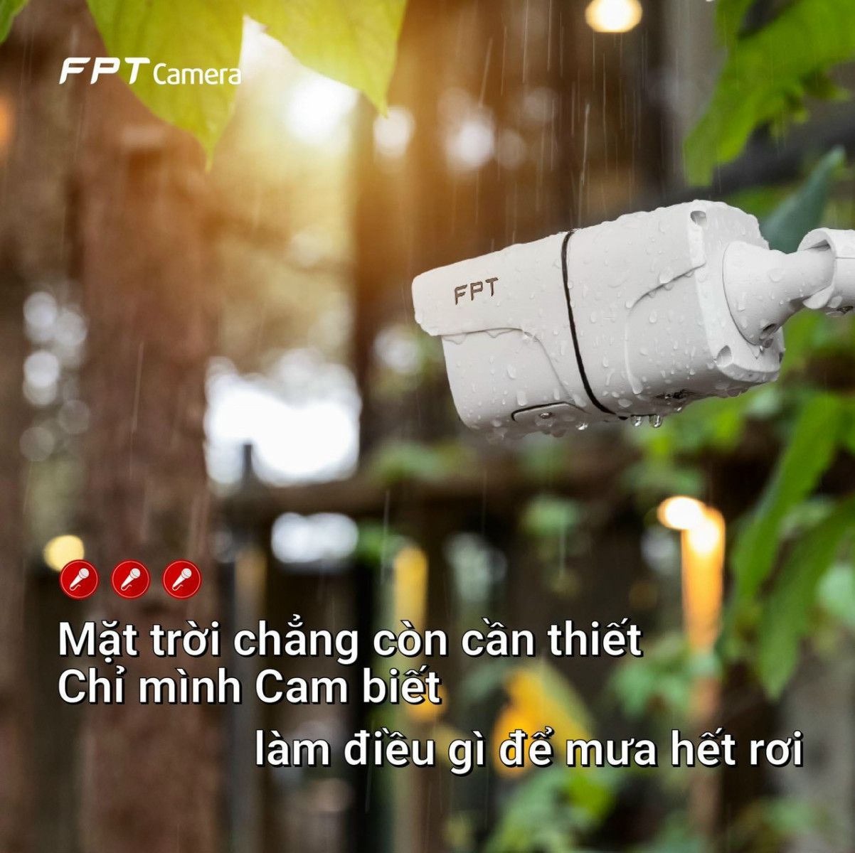 Camera IQ2s